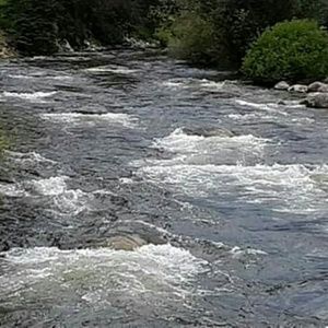 Meet your Posher, Vickie